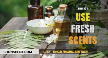 Fresh Scents 101: Mastering Aromatic Bliss in Everyday Life