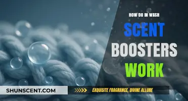 Unveiling the Science Behind In-Wash Scent Boosters: How They Work