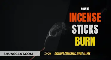 The Science of Incense: How Do They Burn?