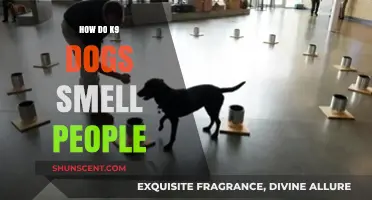 Unleashing the Power of Canine Noses: How K9 Dogs Smell People