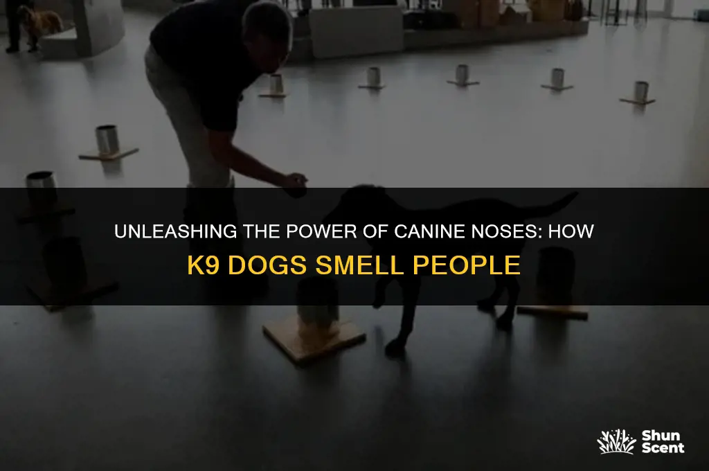 how do k9 dogs smell people
