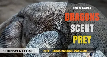 Komodo Dragons' Hunting Secrets: Unraveling Their Scent-Based Prey Detection