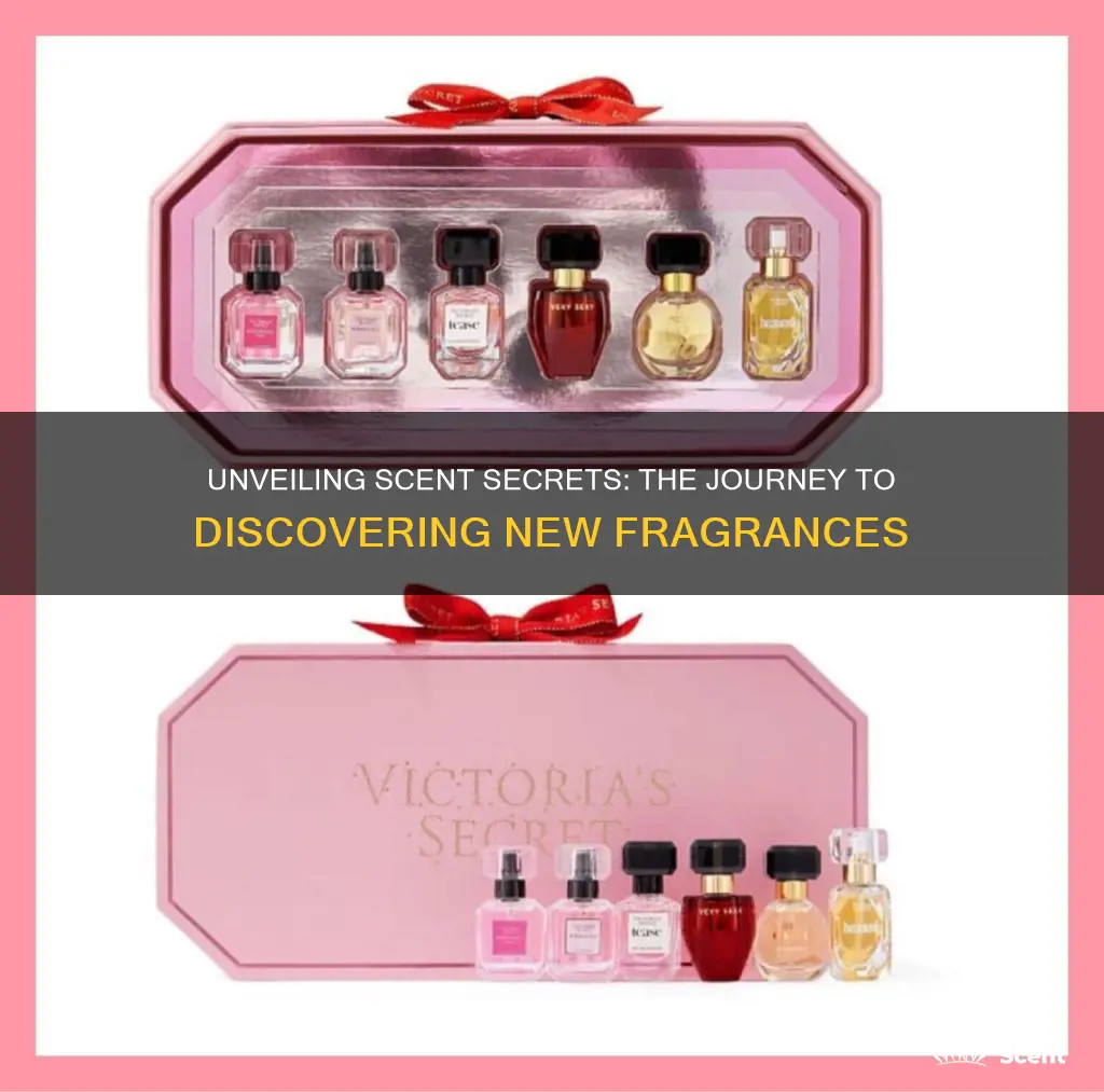 how do people discover new fragrances