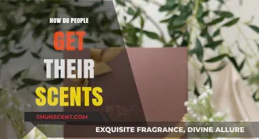 Unveiling the Secrets: How People Discover and Choose Their Signature Scents