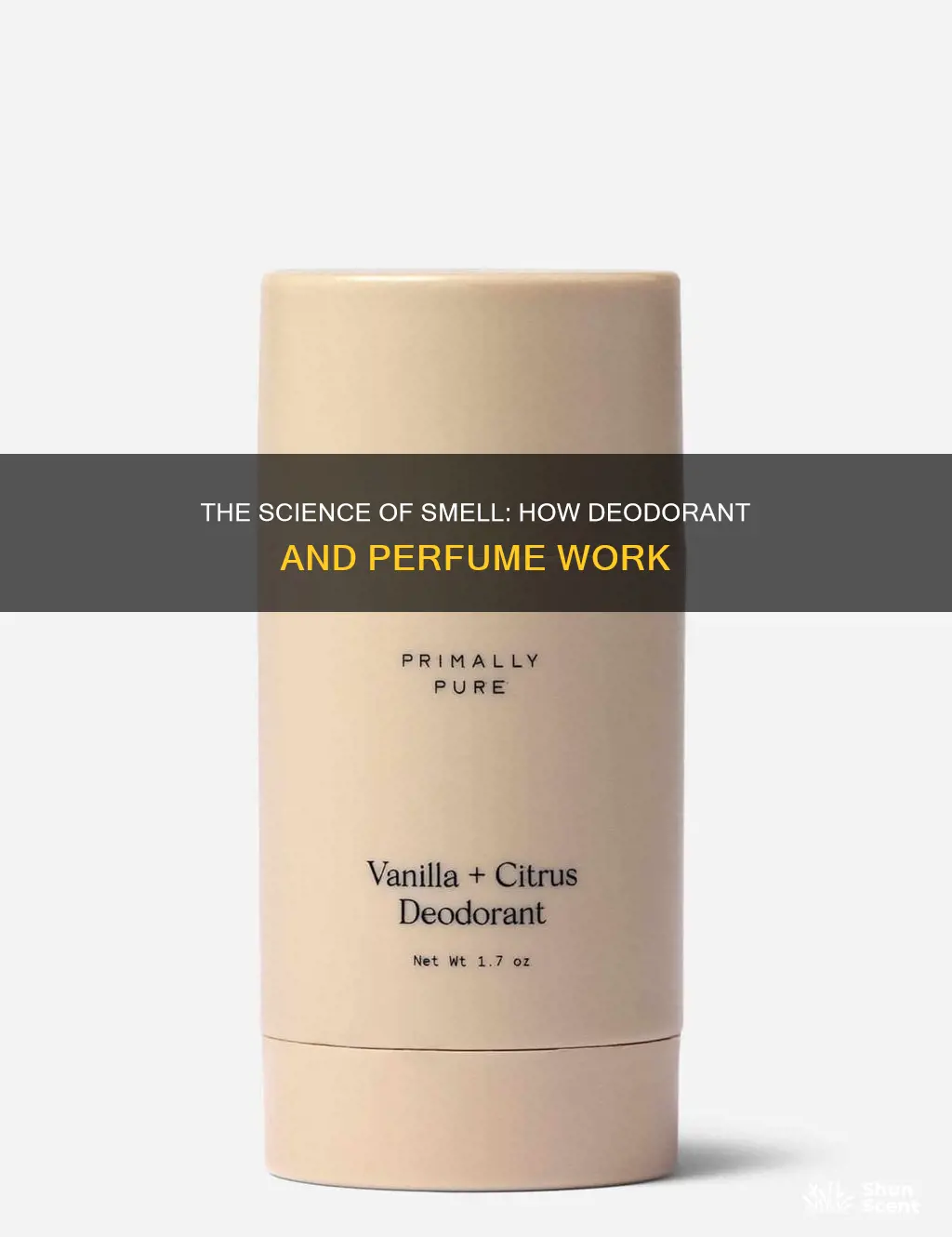 how do perfume and deodorant work