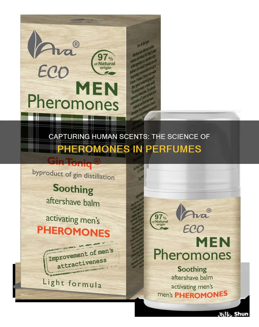how do perfume companies get human pheromones