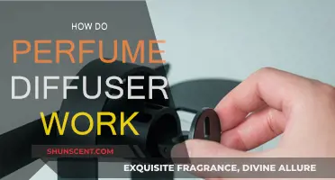 The Science of Scent: How Diffusers Work