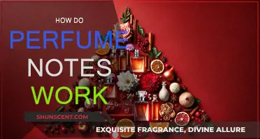 Understanding Perfume Notes: A Beginner's Guide