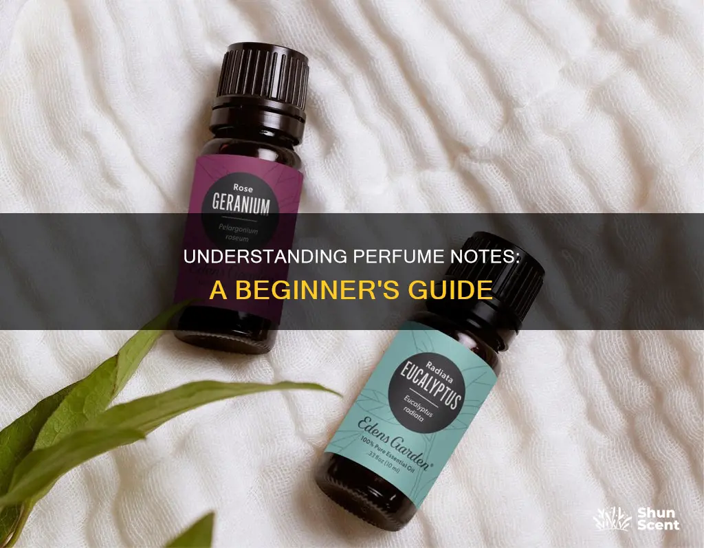 how do perfume notes work