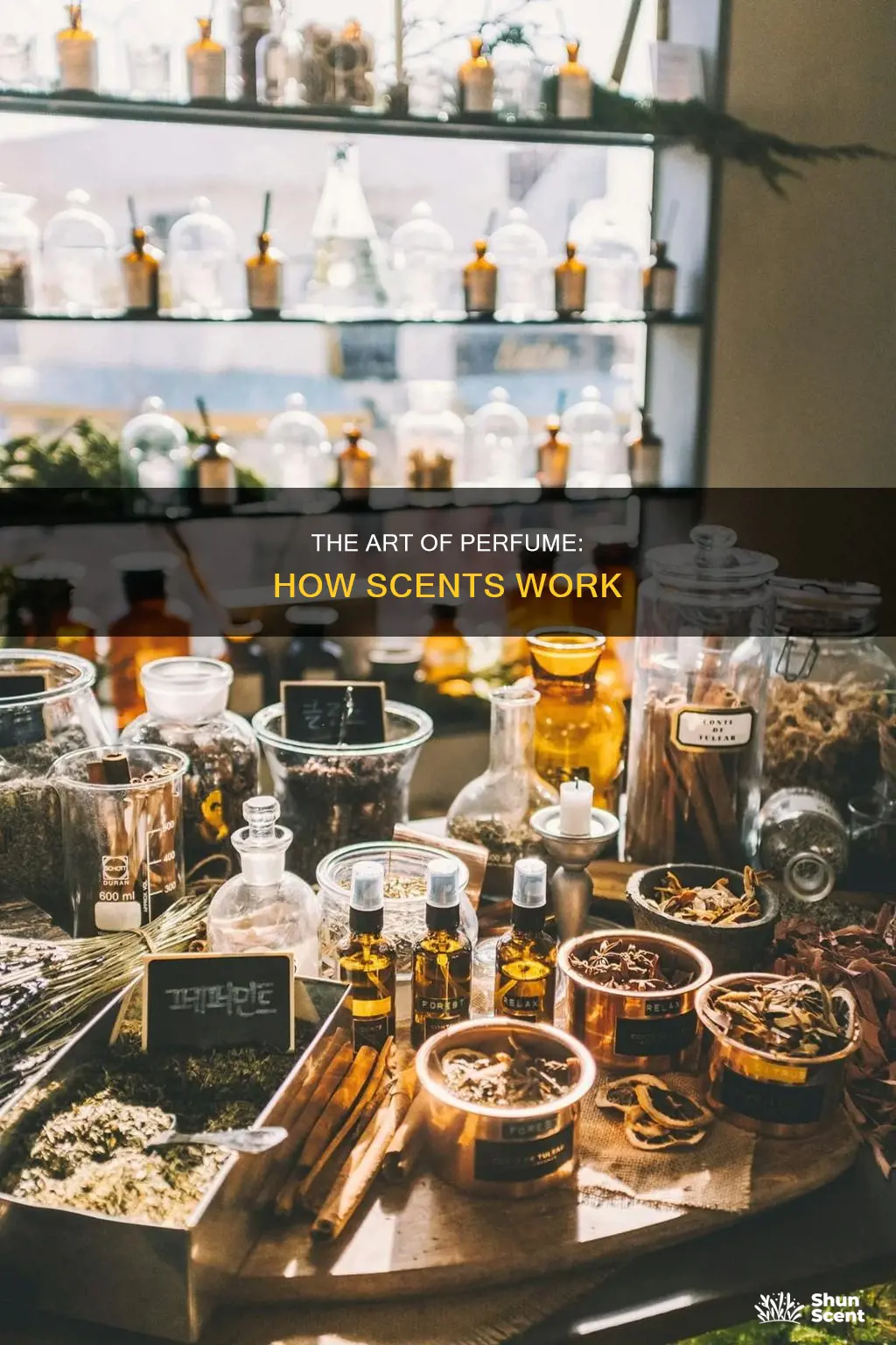 how do perfume smell