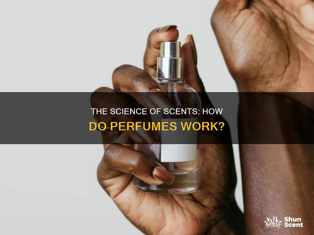 how do perfume w