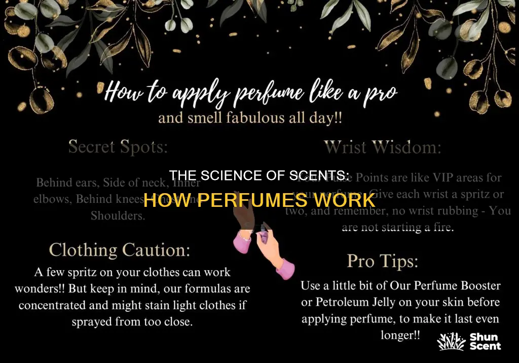 how do perfume wo
