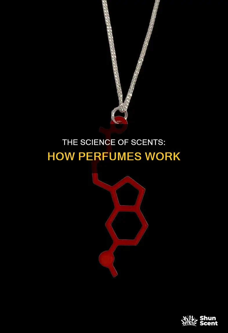 how do perfumes work