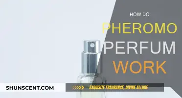 Pheromones: The Science of Attraction in Perfumes