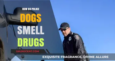 Sniffing Out Illicit Substances: The Science Behind Police Dogs' Drug Detection Abilities