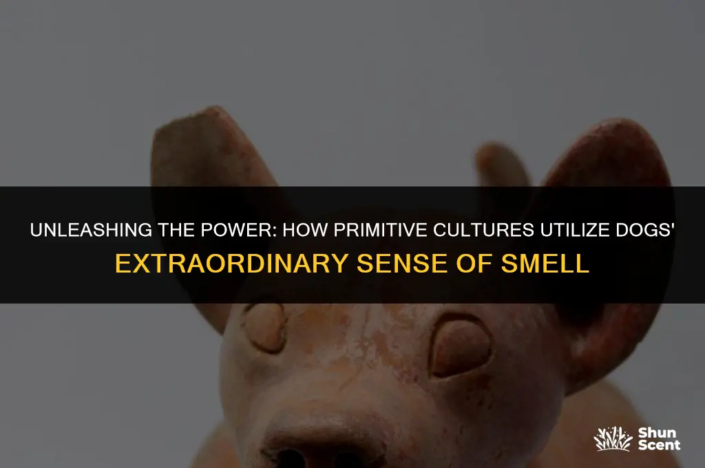 how do primitive cultures use dogs sense of smell