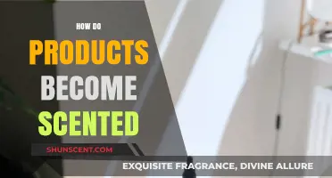 The Art of Fragrance: How Products Get Their Signature Scents