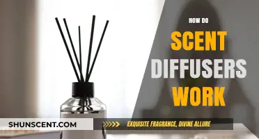 Understanding Scent Diffusers: How They Work and Enhance Your Space