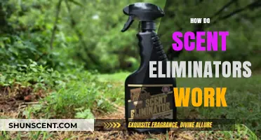 Unveiling the Science: How Scent Eliminators Work for Hunters