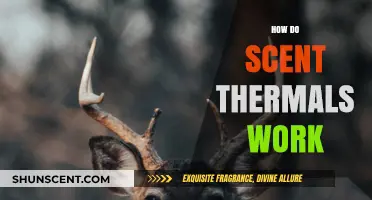 Understanding Scent Thermals: How Air Currents Carry Scents for Wildlife Detection
