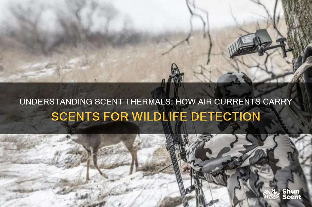 how do scent thermals work