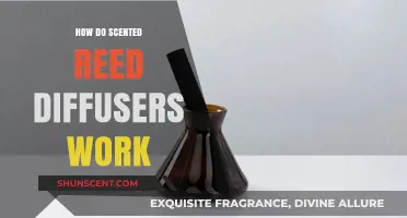 Unveiling the Science Behind Scented Reed Diffusers: How They Work