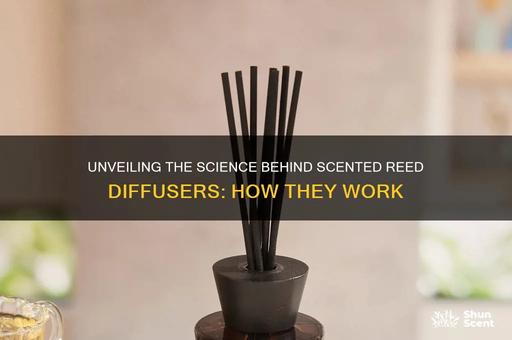how do scented reed diffusers work