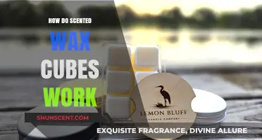 Unveiling the Magic: How Scented Wax Cubes Work and Enhance Spaces
