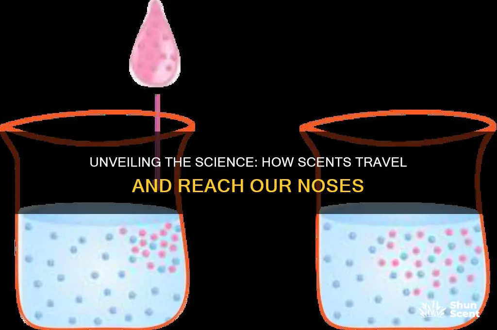 how do scents emit