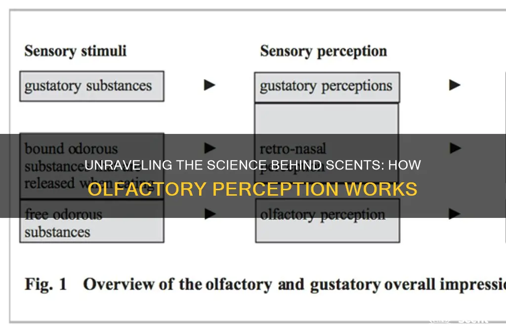 how do scents work scientifically speaking