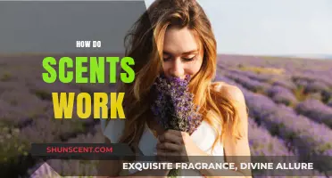 Unveiling the Science: How Scents Trigger Memories and Emotions