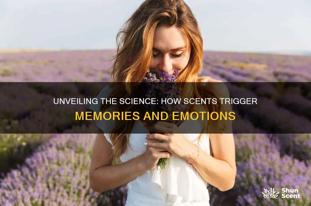how do scents work
