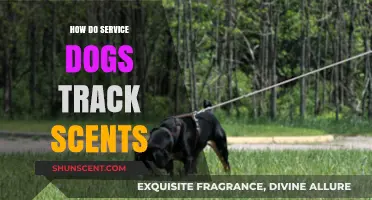 How Service Dogs Track Scents: Uncovering Their Olfactory Superpowers