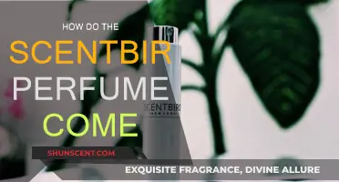 Scentbird: A Monthly Perfume Subscription Box