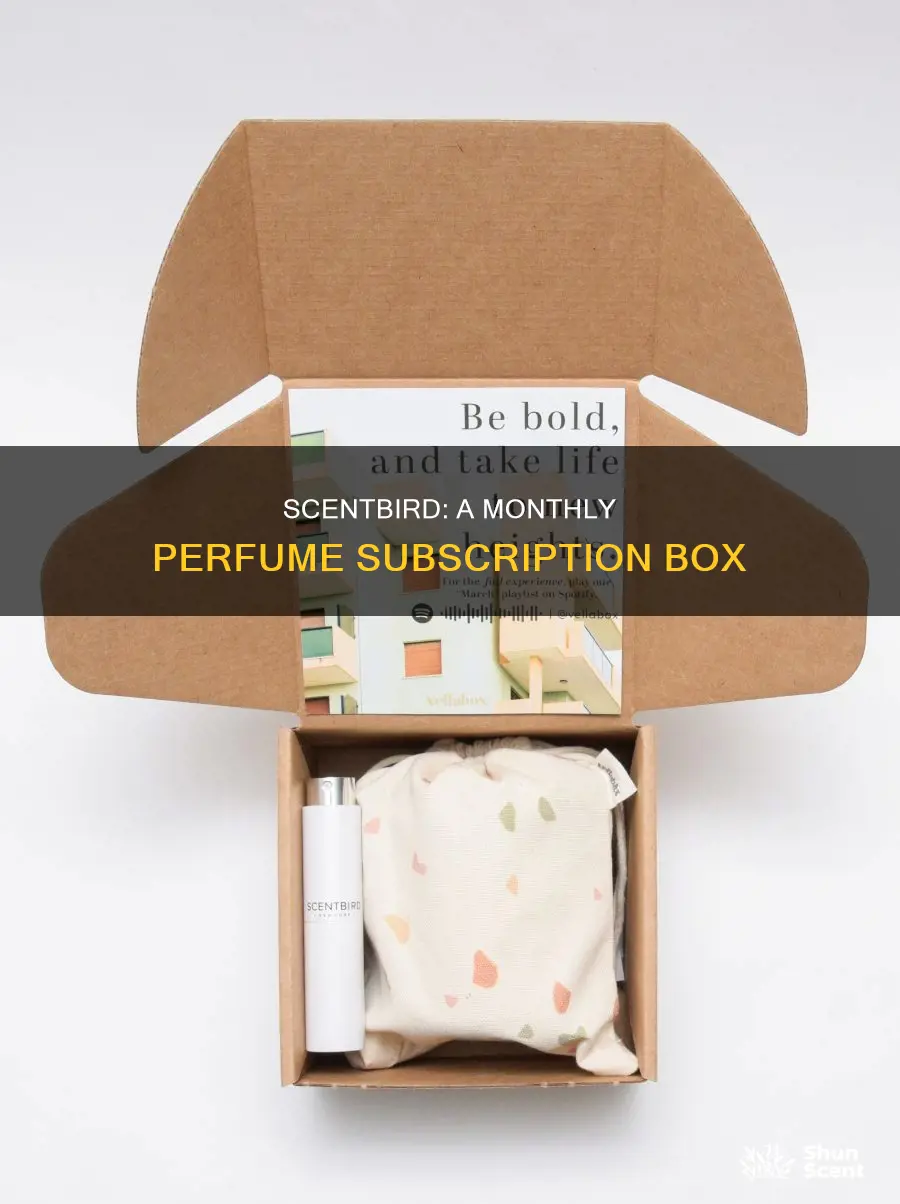 how do the scentbird perfumes come