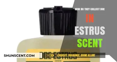 Unveiling the Science Behind Collecting Doe Estrus Scent for Hunting