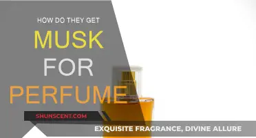 The Musk Mystery: Sourcing Scents for Perfumes