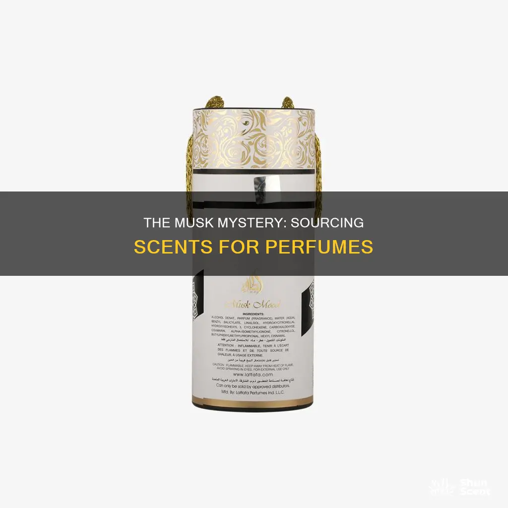 how do they get musk for perfume