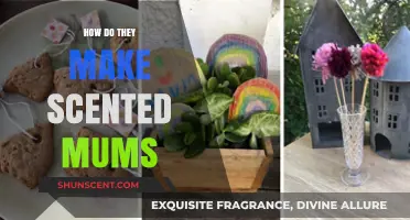 Unveiling the Fragrant Magic: How Scented Mums Are Crafted