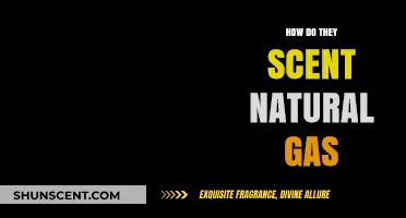 Why Natural Gas Smells: The Science Behind Its Added Odor