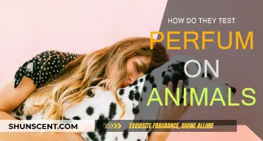 Cruelty of Perfume Testing: Animal Experiments