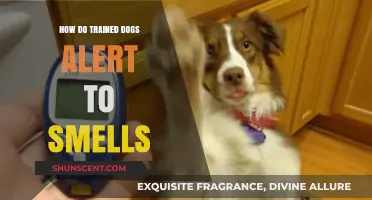 Sniffing Out Danger: The Science Behind Trained Dogs' Alertness to Smells