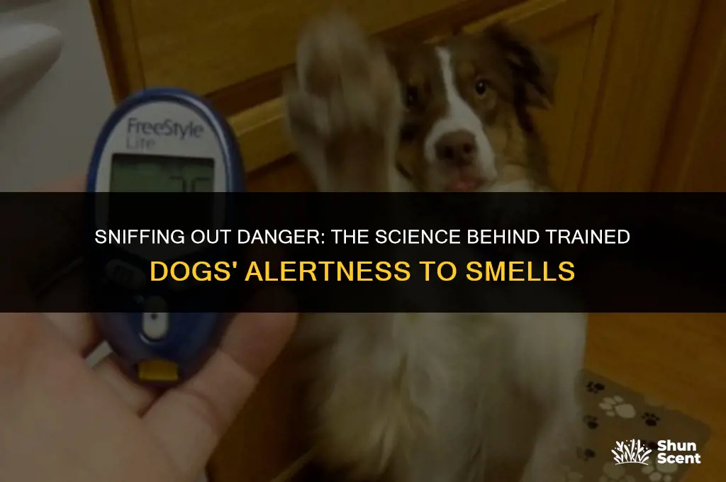 how do trained dogs alert to smells