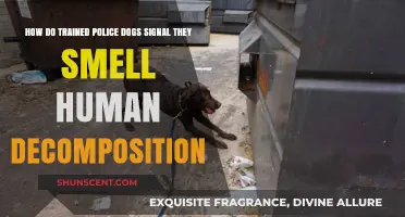 Sniffing Out the Truth: How Police Dogs Detect Human Decomposition