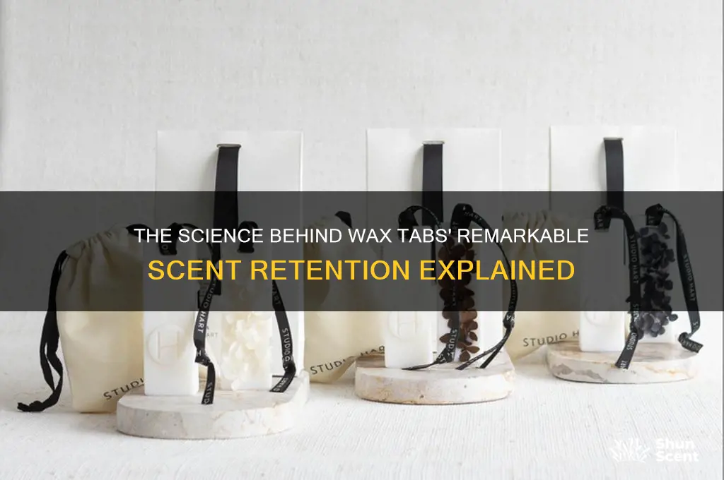 how do wax tabs hold so much scent