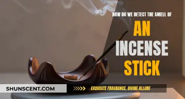 Science Behind Incense Stick Fragrance and How We Smell It