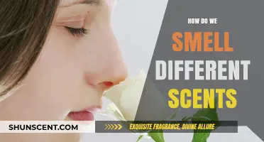 Unraveling the Science Behind How We Detect and Differentiate Scents
