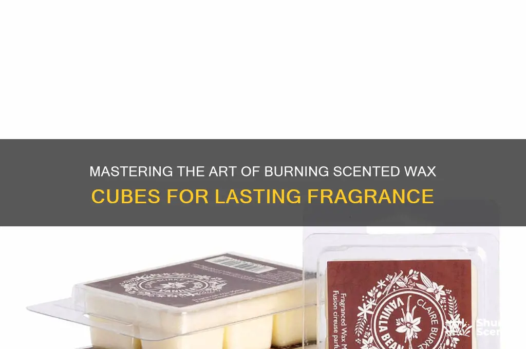 how do you burn scented wax cubes