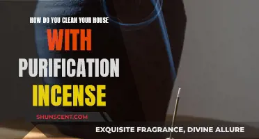 Purification Incense: Clean Your House, Calm Your Mind