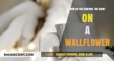 Mastering Wallflower Fragrance: Tips to Control and Enhance Your Scent